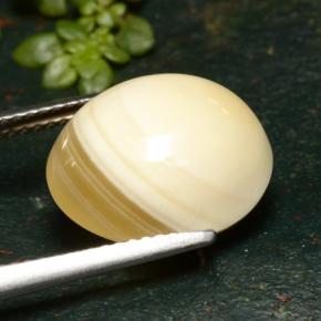 Ágata multicolor natural de 9,46 ct, corte óvalo, translúcido