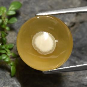 Ágata multicolor natural de 11,93 ct, corte óvalo, translúcido