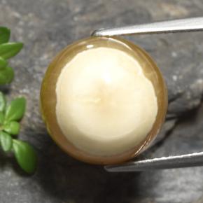 Ágata multicolor natural de 15,16 ct, corte óvalo, translúcido