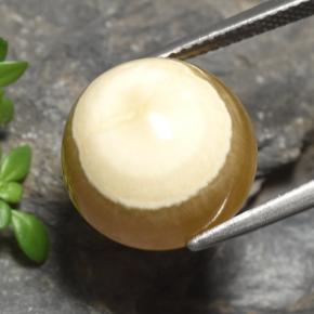 Ágata multicolor natural de 15,16 ct, corte óvalo, translúcido