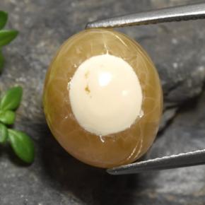 Ágata Multicolor natural de 13.60 ct, Corte Óvalo, Translúcido