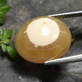 Ágata Multicolor natural de 13.60 ct, Corte Óvalo, Translúcido