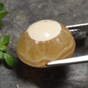 Ágata Multicolor natural de 13.60 ct, Corte Óvalo, Translúcido