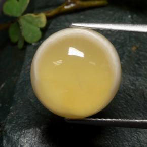 Ágata multicolor natural de 10,73 ct, corte redondo, translúcido