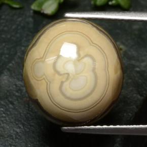 Ágata Multicolor natural de 12.04 ct, Corte Óvalo, Opaco