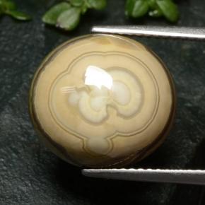 Ágata Multicolor natural de 12.04 ct, Corte Óvalo, Opaco