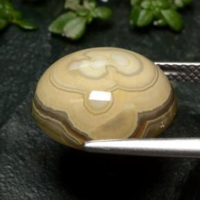 Ágata Multicolor natural de 12.04 ct, Corte Óvalo, Opaco