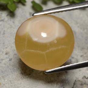 Ágata multicolor natural de 7,59 ct, corte óvalo, translúcido