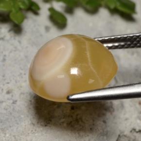 Ágata multicolor natural de 7,59 ct, corte óvalo, translúcido