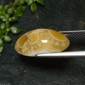 Ágata multicolor natural de 6,57 ct, corte óvalo, translúcido