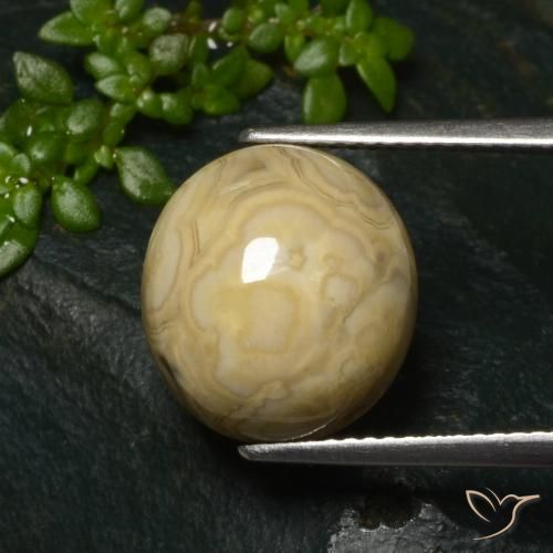 Ágata Multicolor natural de 11.32 ct, Ovalada, Opaco
