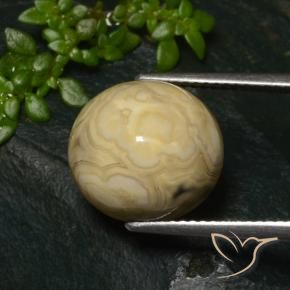 Ágata Multicolor natural de 11.32 ct, Ovalada, Opaco