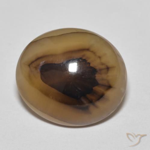 9.50ct Natural Multicolor Ágata, Ovalada, Translúcido