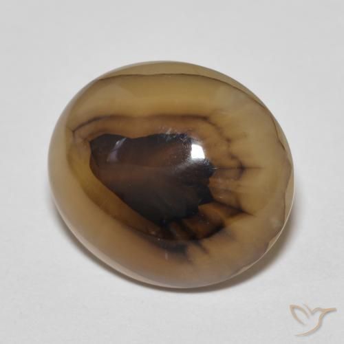 Ágata Multicolor natural de 9.50 ct, Ovalada, Translúcido