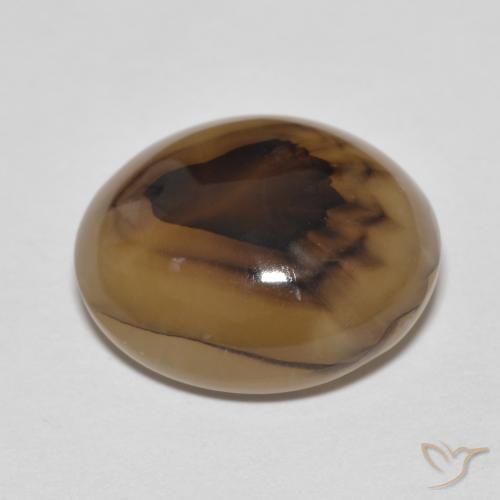 Ágata Multicolor natural de 9.50 ct, Ovalada, Translúcido