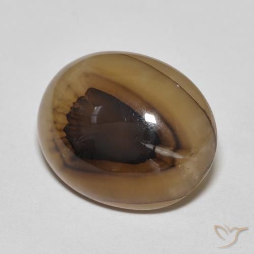 Ágata Multicolor natural de 10.67 ct, Ovalada, Translúcido