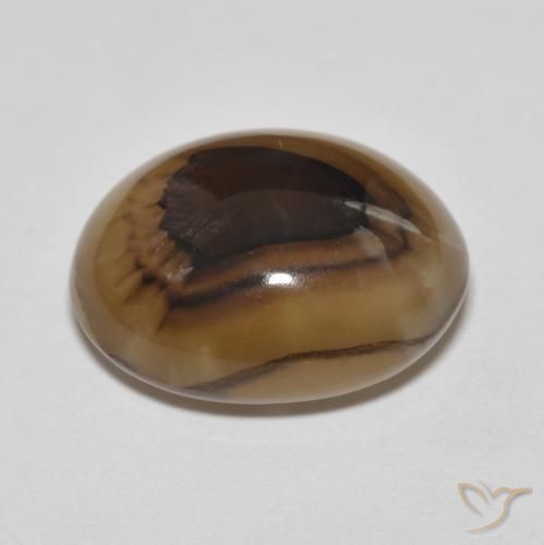 Ágata Multicolor natural de 10.67 ct, Ovalada, Translúcido