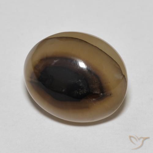 Ágata Multicolor natural de 8.49 ct, Ovalada, Translúcido