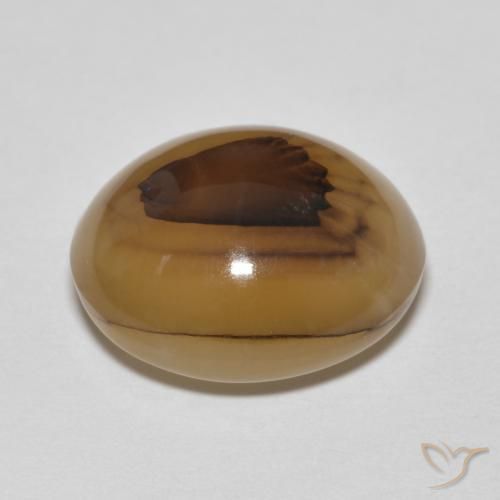 Ágata Multicolor natural de 9.19 ct, Ovalada, Translúcido