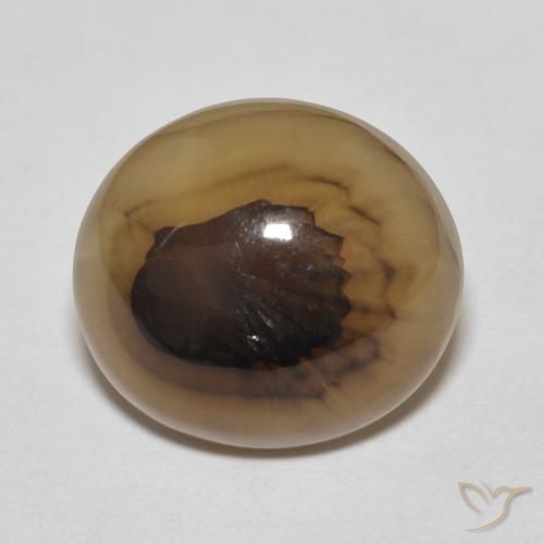 9.70ct Natural Multicolor Ágata, Ovalada, Translúcido