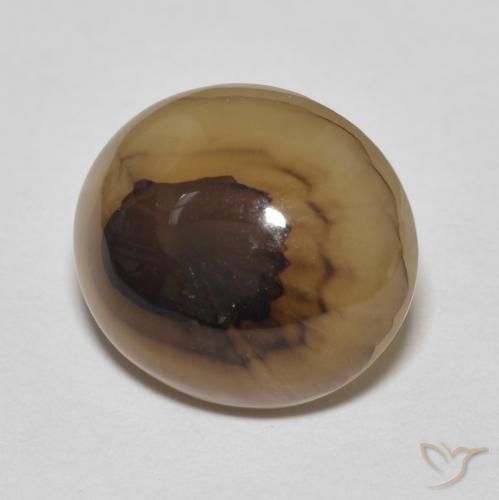 Ágata Multicolor natural de 9.70 ct, Ovalada, Translúcido