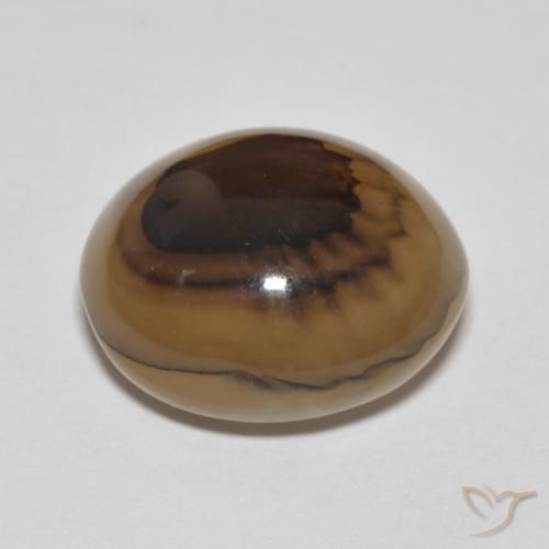 Ágata Multicolor natural de 9.70 ct, Ovalada, Translúcido