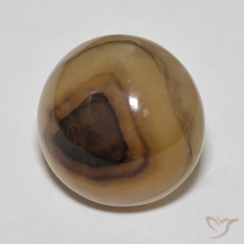 Ágata Multicolor natural de 12.23 ct, Ovalada, Translúcido