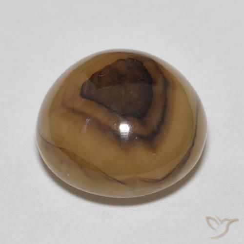 Ágata Multicolor natural de 12.23 ct, Ovalada, Translúcido