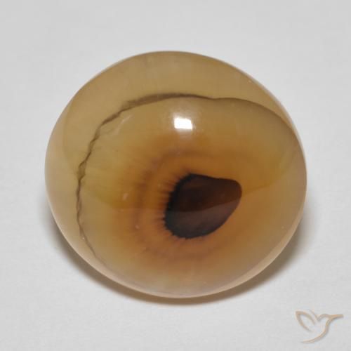 14.89ct Natural Multicolor Ágata, Ovalada, Translúcido