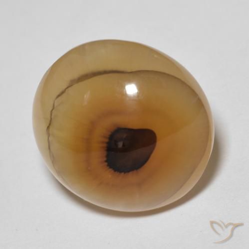 Ágata Multicolor natural de 14.89 ct, Ovalada, Translúcido