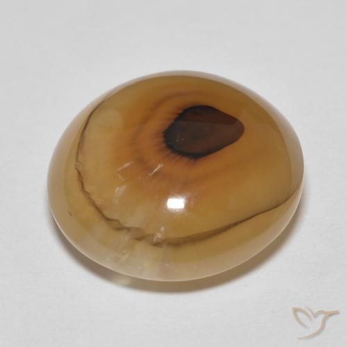 Ágata Multicolor natural de 14.89 ct, Ovalada, Translúcido