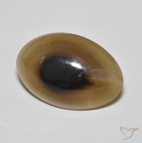 Ágata Multicolor natural de 11.43 ct, Ovalada, Translúcido
