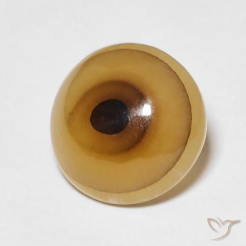 Ágata Multicolor natural de 5.38 ct, Ovalada, Translúcido