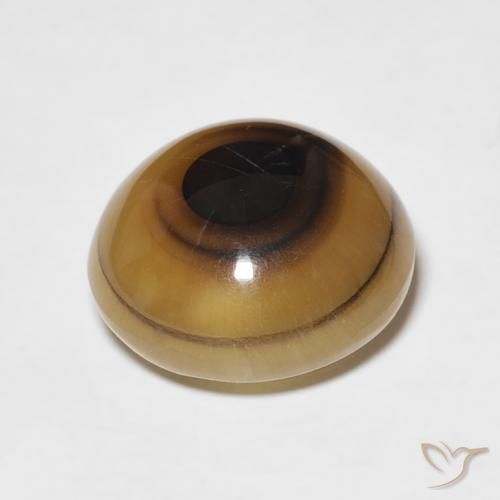 Ágata Multicolor natural de 8.82 ct, Ovalada, Translúcido