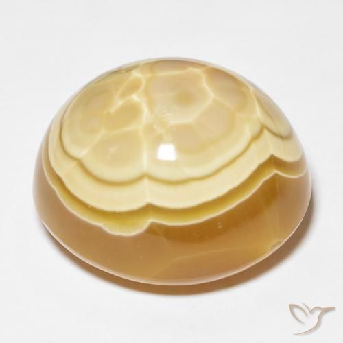 Ágata Multicolor natural de 57.04 ct, Ovalada, Opaco
