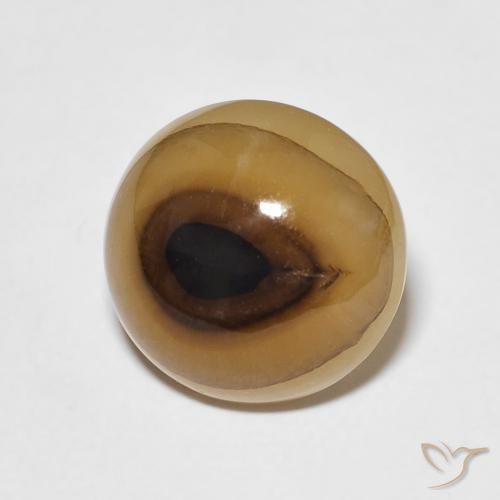 Ágata Multicolor natural de 6.64 ct, Ovalada, Translúcido