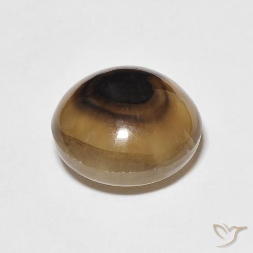 Ágata Multicolor natural de 8.00 ct, Redondo, Translúcido
