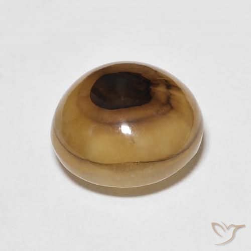 Ágata Multicolor natural de 7.88 ct, Redondo, Translúcido