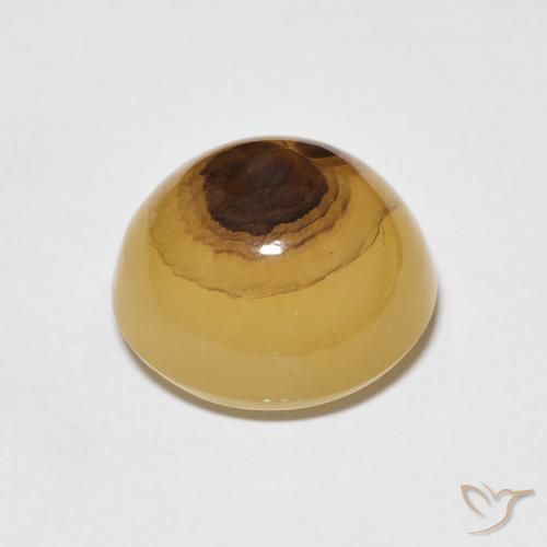 Ágata Multicolor natural de 7.75 ct, Ovalada, Translúcido