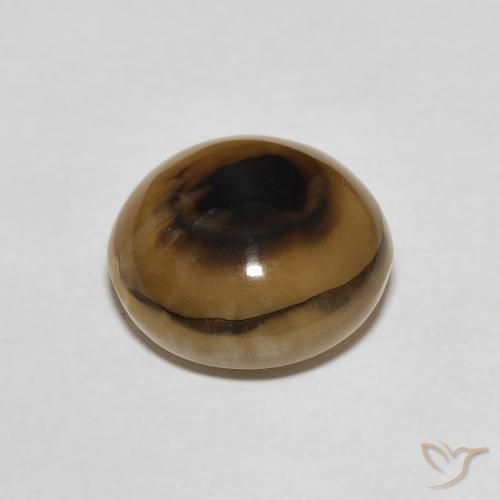 Ágata Multicolor natural de 7.46 ct, Redondo, Translúcido