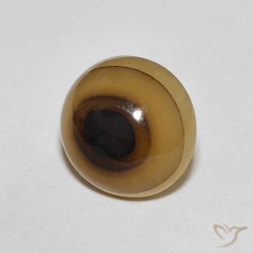 Ágata Multicolor natural de 7.21 ct, Ovalada, Translúcido