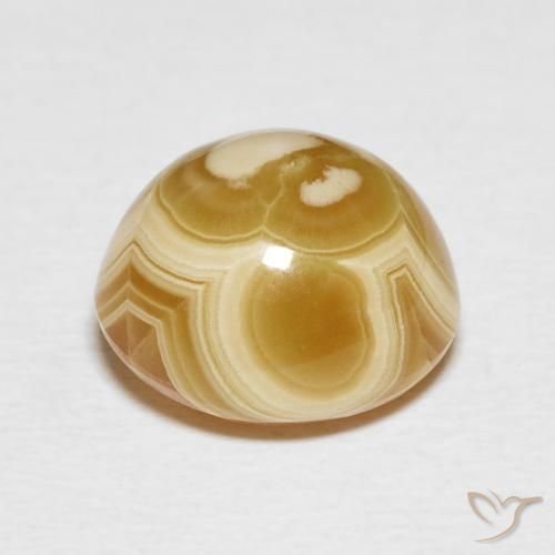Ágata Multicolor natural de 6.46 ct, Ovalada, Opaco
