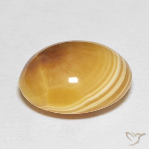 Ágata Multicolor natural de 19.09 ct, Ovalada, Opaco