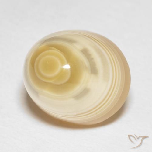 Ágata Multicolor natural de 16.65 ct, Redondo, Opaco