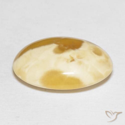 Ágata Multicolor natural de 18.52 ct, Ovalada, Opaco