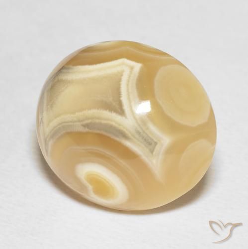 Ágata Multicolor natural de 19.20 ct, Ovalada, Opaco