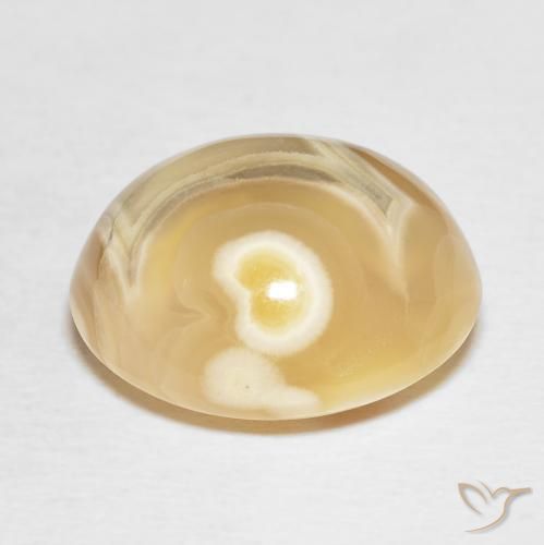 Ágata Multicolor natural de 19.20 ct, Ovalada, Opaco