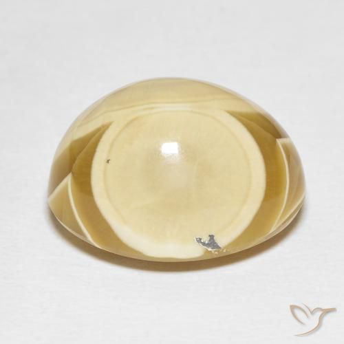 Ágata Multicolor natural de 27.82 ct, Ovalada, Opaco
