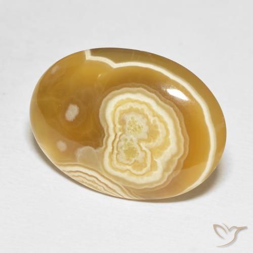 Ágata Multicolor natural de 20.50 ct, Ovalada, Opaco