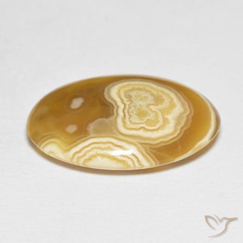 Ágata Multicolor natural de 20.50 ct, Ovalada, Opaco